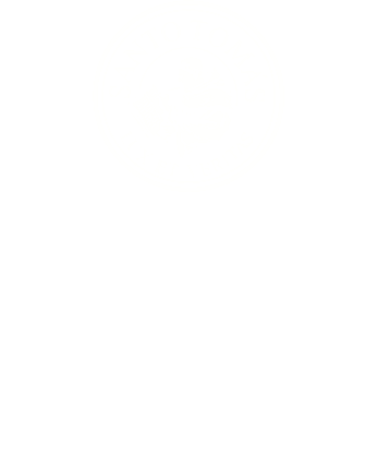 Universidad Santo Tomás